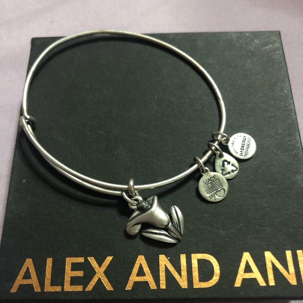 Alex and Ani Bracelet